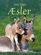 Æsler