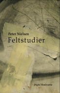 Feltstudier