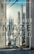 Maze runner - feberen