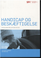 Handicap og beskæftigelse