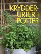 Krydderurter i potter