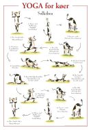 Yoga for køer PLAKAT
