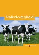 Malkekvæghold