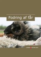 Fodring af får