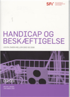 Handicap og beskæftigelse