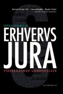 Erhvervsjura - opgave- og materialesamling