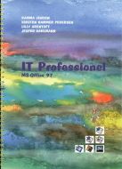 IT professionel - MS-office 97 