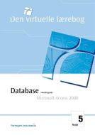 Database grundlæggende, MS Access 2000