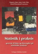 Statistik i praksis