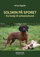 Solskin på sporet