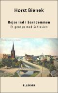 Rejse ind i barndommen