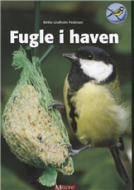 Fugle i haven