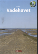 Vadehavet