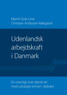 Udenlandsk arbejdskraft i Danmark