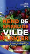 Kend de spiselige vilde planter