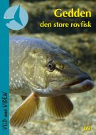 Gedden – den store rovfisk