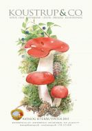 KOUSTRUP & Co. KATALOG efterår-vinter 2015