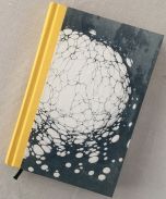 Parerga og Paralipomena I, 2