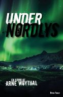 Under nordlys