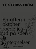 En aften i oktober roede jeg ud på søen &amp; Optegnelser