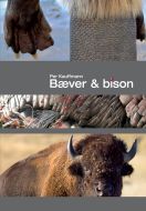 Bæver&amp; bison