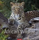 African Wildlife 2017