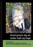 Hund graver sig ud under Hæk og Hegn