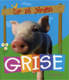 Grise