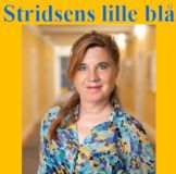 Stridsens lille blå