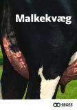 Malkekvæg