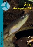 Ålen – den mystiske fisk